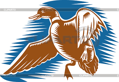 Volando pato hecho en estilo de grabado | Ilustración vectorial de stock |ID 3976963