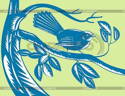 Nueva Zelanda abanico de aves | Ilustración vectorial de stock |ID 3976973