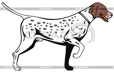 Perro Pointer Side View Retro | Ilustración vectorial de stock |ID 3978103