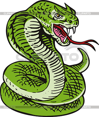 Cobra Viper Serpiente | Ilustración de alta resolución |ID 3980236