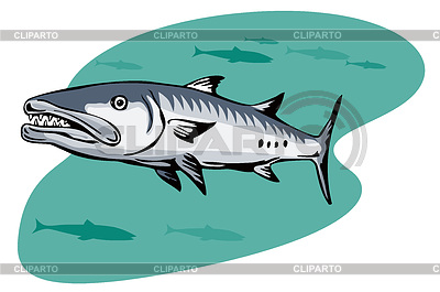 Barracuda Retro | Ilustración vectorial de stock |ID 3983177