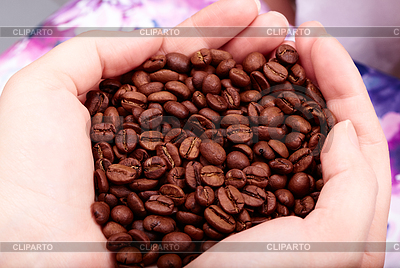 Kaffeebohnen in die Hände | Foto mit hoher Auflösung |ID 4005513