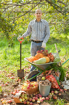 El hombre con la cosecha de las verduras | Foto de alta resolución |ID 3987350