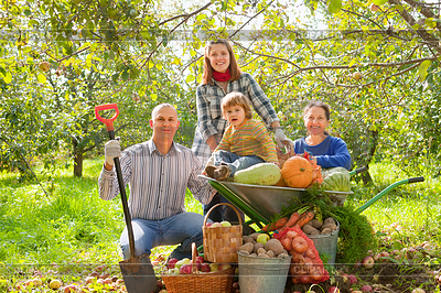 Happy family with harvest | High resolution stock photo |ID 4023561