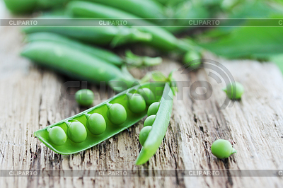 Pea Pod | Foto mit hoher Auflösung |ID 4049399