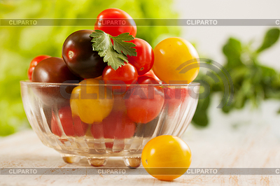 Tomates con hierbas | Foto de alta resolución |ID 4049507