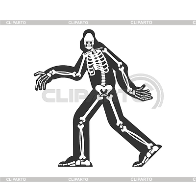 Bigfoot-Skelett islated. Sasquatch Schädel und Knochen | Stock Vektorgrafik |ID 6860141