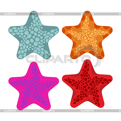 Establecer las estrellas de mar de color. Los animales del océano | Ilustración vectorial de stock |ID 6107175